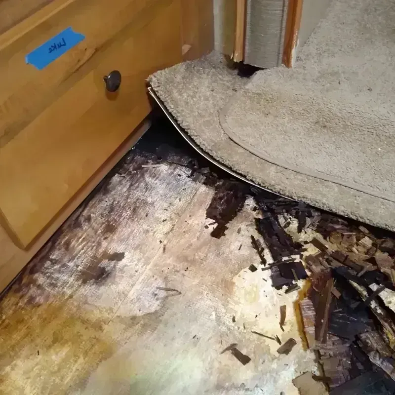 Best Wood Floor Water Damage Service in Benton Heights, MI